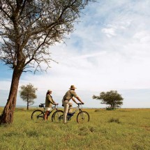 Wonderful holiday in Africa with Safari — 44