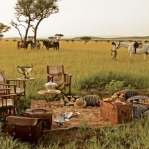 Wonderful holiday in Africa with Safari — 48