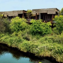 Wonderful holiday in Africa with Safari — 56