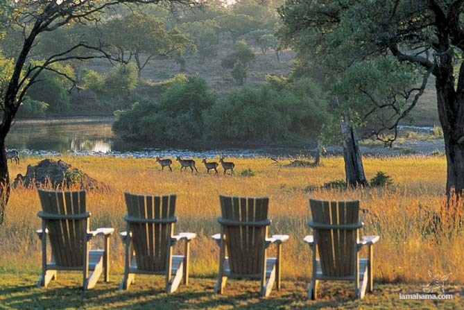 Wonderful holiday in Africa with Safari - Pictures nr 12