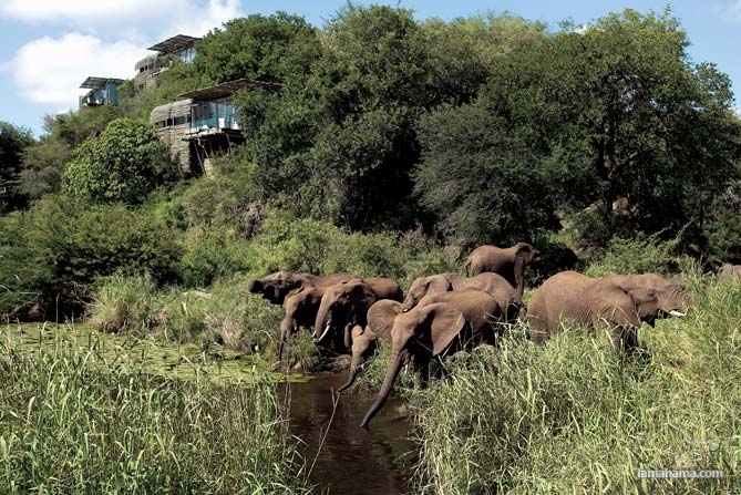 Cudowne wakacje w Afryce razem z Safari - Zdjecie nr 24