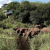 Cudowne wakacje w Afryce razem z Safari - Zdjecie nr 24