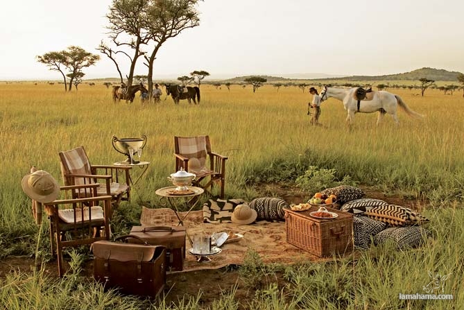 Cudowne wakacje w Afryce razem z Safari - Zdjecie nr 48