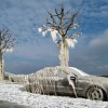Beautiful effects of ice storm — 18