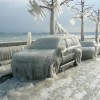 Beautiful effects of ice storm — 1