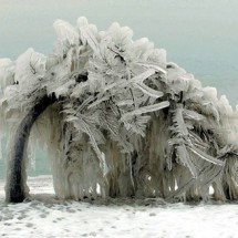 Beautiful effects of ice storm — 21
