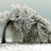 Beautiful effects of ice storm — 21