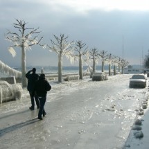 Beautiful effects of ice storm — 2