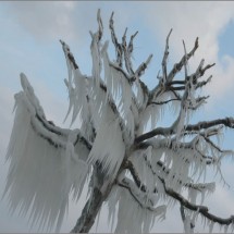 Beautiful effects of ice storm — 8