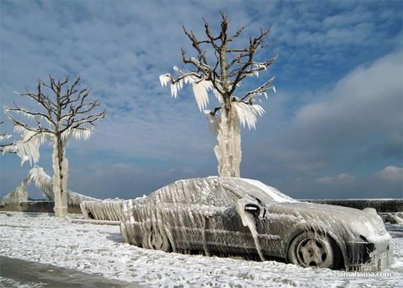 Beautiful effects of ice storm - Pictures nr 18