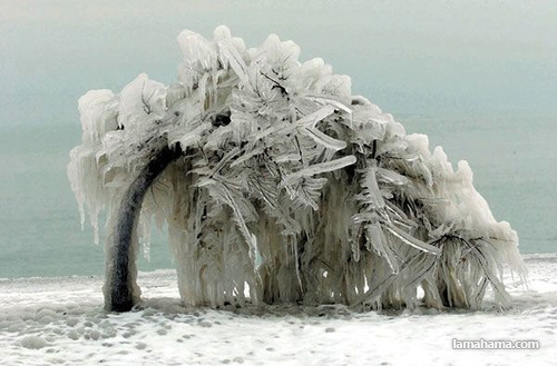 Beautiful effects of ice storm - Pictures nr 21