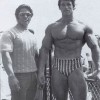 Young Arnold Schwarzenegger — 24