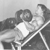 Young Arnold Schwarzenegger — 25