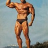 Young Arnold Schwarzenegger — 30