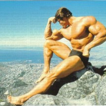 Young Arnold Schwarzenegger — 31