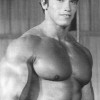 Young Arnold Schwarzenegger — 34