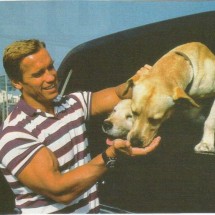 Young Arnold Schwarzenegger — 35