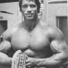 Young Arnold Schwarzenegger — 42