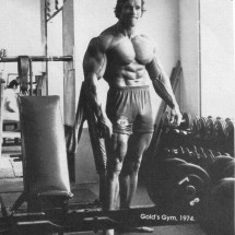 Young Arnold Schwarzenegger — 43