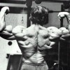 Young Arnold Schwarzenegger — 51