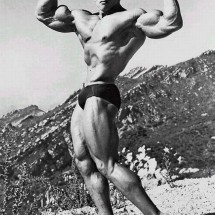 Young Arnold Schwarzenegger — 60