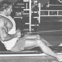 Young Arnold Schwarzenegger — 63