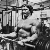 Young Arnold Schwarzenegger — 73