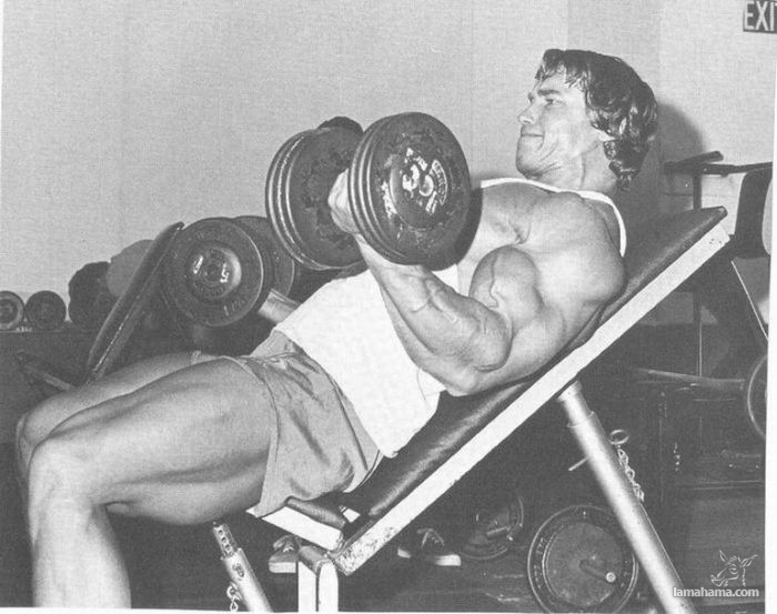 Młody Arnold Schwarzenegger - Zdjecie nr 25