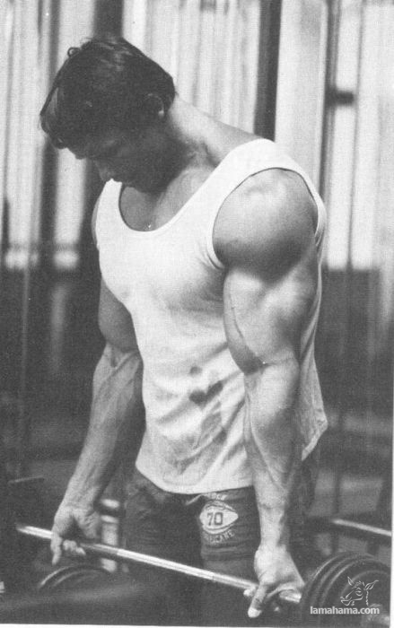Young Arnold Schwarzenegger - Pictures nr 28