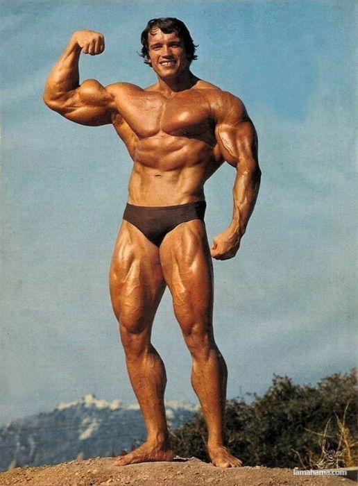 Young Arnold Schwarzenegger - Pictures nr 30