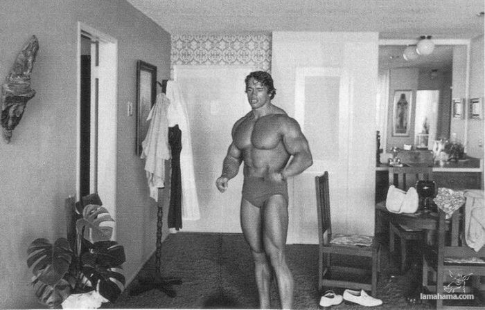 Młody Arnold Schwarzenegger - Zdjecie nr 36