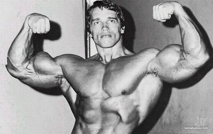 Młody Arnold Schwarzenegger - Zdjecie nr 4