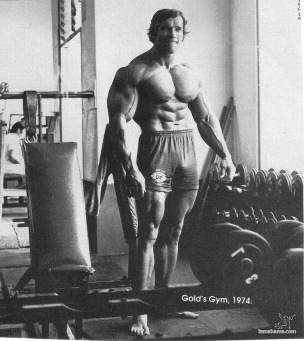 Młody Arnold Schwarzenegger - Zdjecie nr 43