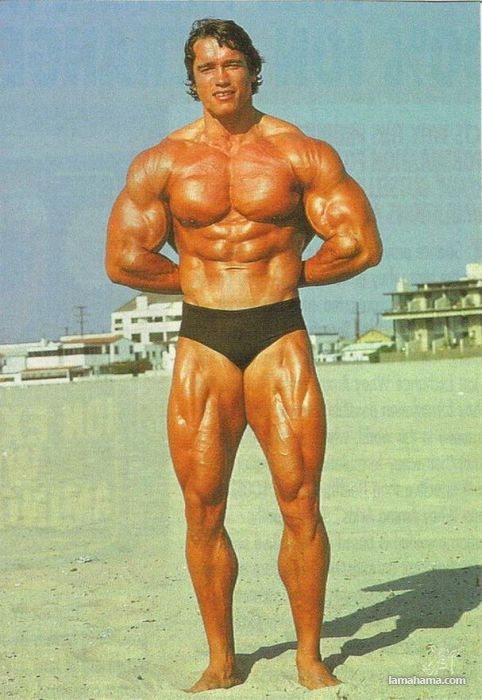 Młody Arnold Schwarzenegger - Zdjecie nr 5