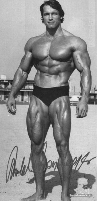 Młody Arnold Schwarzenegger - Zdjecie nr 50