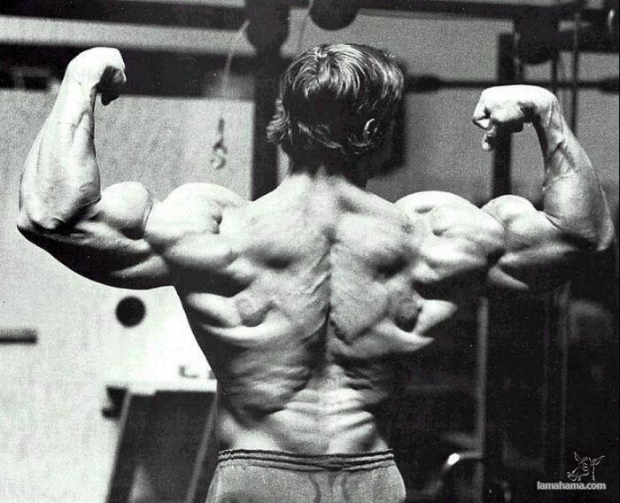 Młody Arnold Schwarzenegger - Zdjecie nr 51