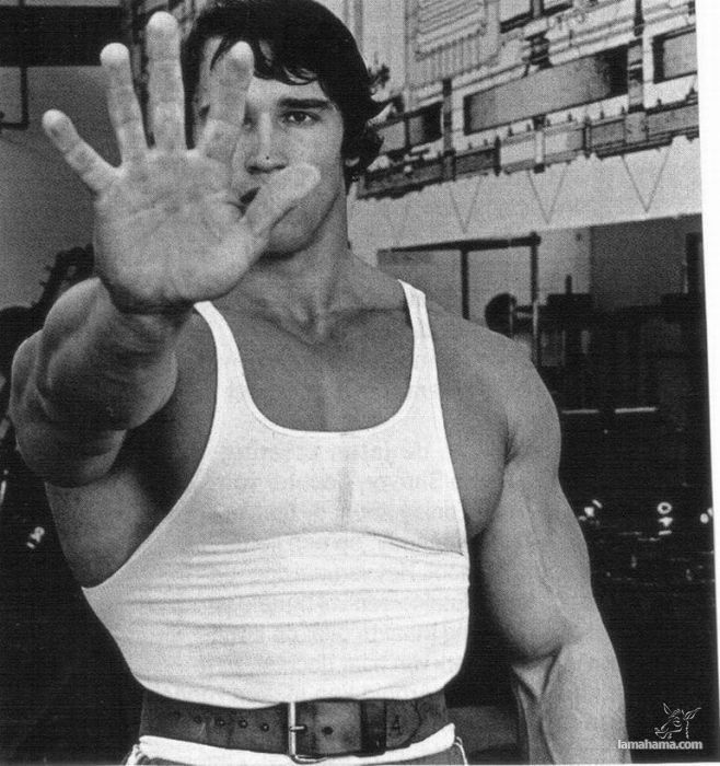 Młody Arnold Schwarzenegger - Zdjecie nr 61
