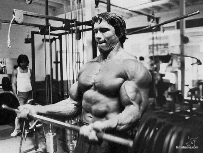 Młody Arnold Schwarzenegger - Zdjecie nr 74