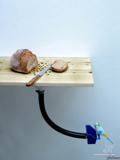 Creative kitchen gadgets - Pictures nr 16
