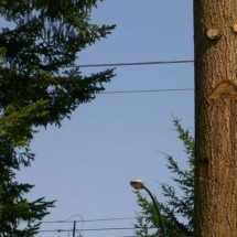 Codzienny Strzał Fotek — 31