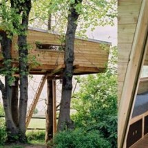 Modern houses of wood — 6