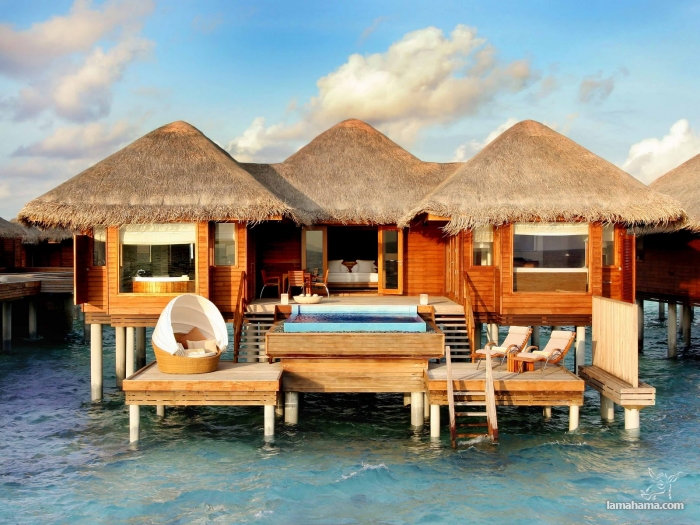 Enjoy the beautiful Maldives - Pictures nr 16