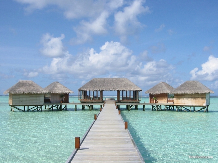 Enjoy the beautiful Maldives - Pictures nr 18