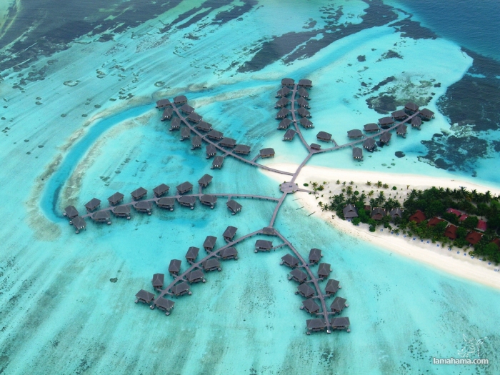 Zapraszamy na piękne Malediwy - Zdjecie nr 20