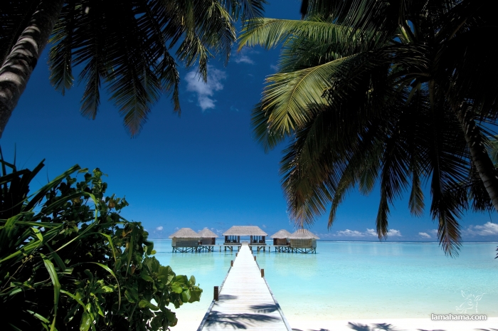 Enjoy the beautiful Maldives - Pictures nr 3