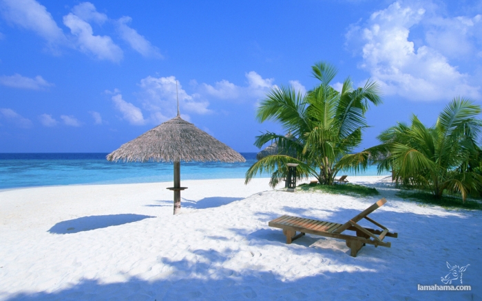 Zapraszamy na piękne Malediwy - Zdjecie nr 8