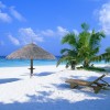 Enjoy the beautiful Maldives - Pictures nr 8