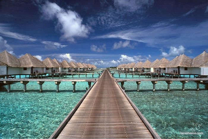 Enjoy the beautiful Maldives - Pictures nr 9