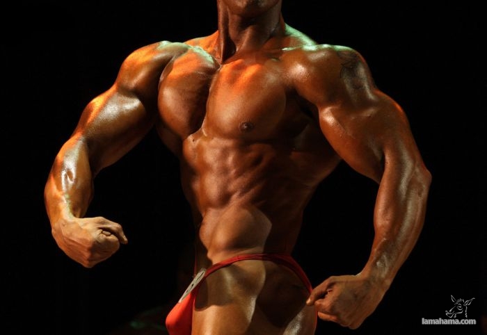 Bodybuilders - Pictures nr 29