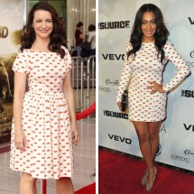 Celebrities in the same costume — 12